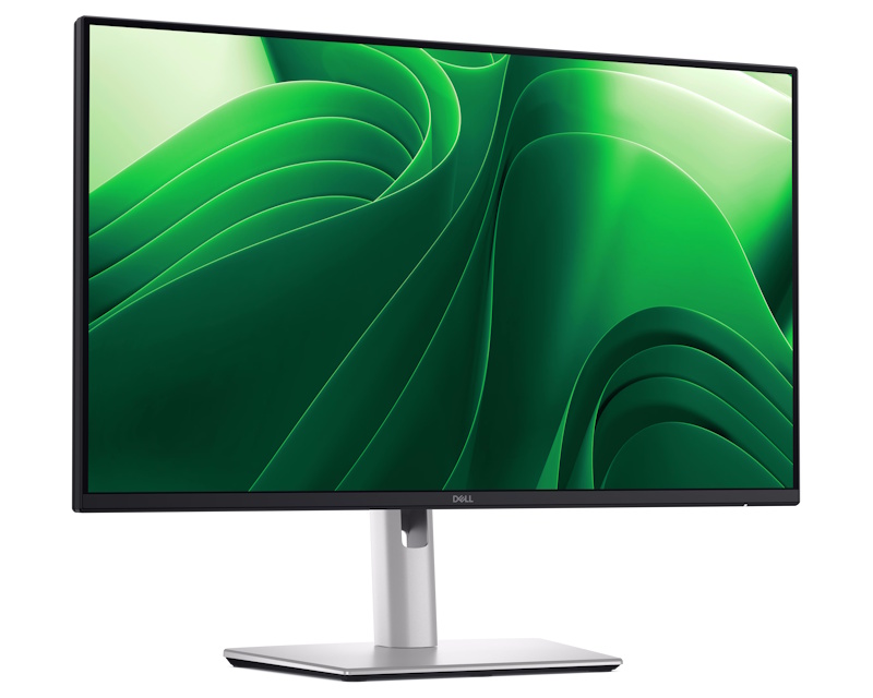 DELL OEM 23.8 inch P2425DE QHD 100Hz USB-C Pro Plus IPS monitor - Slika 2